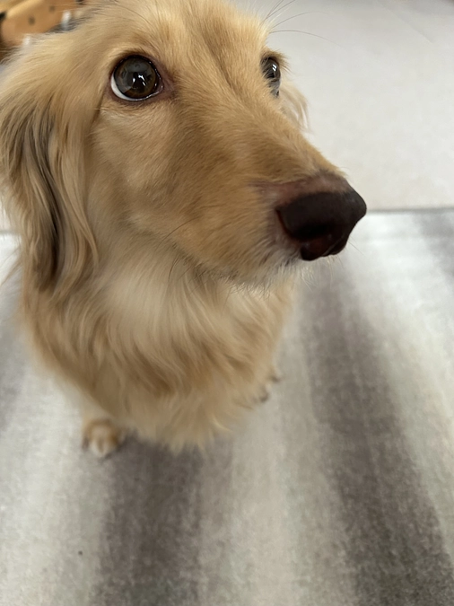 達成しました‼️