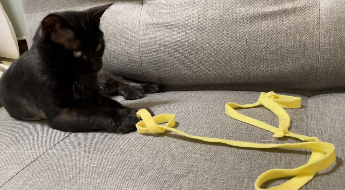 6/23　23時プロジェクト挑戦が終了します。