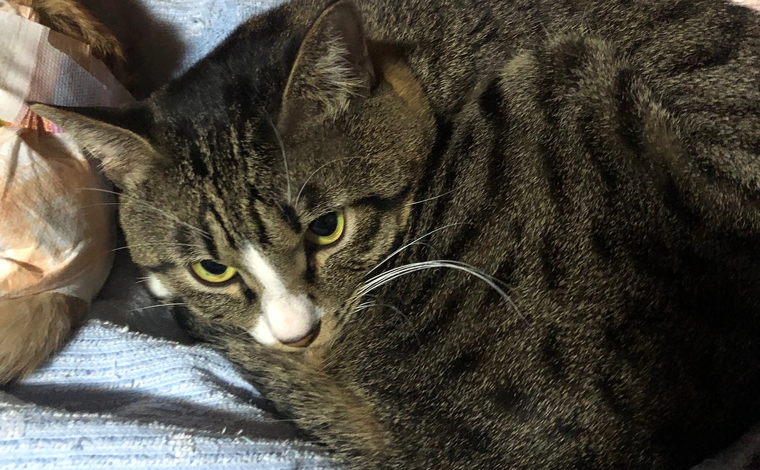 お礼のメール(2)