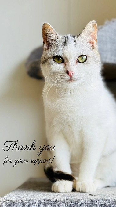 目標金額達成！ありがとうございます！