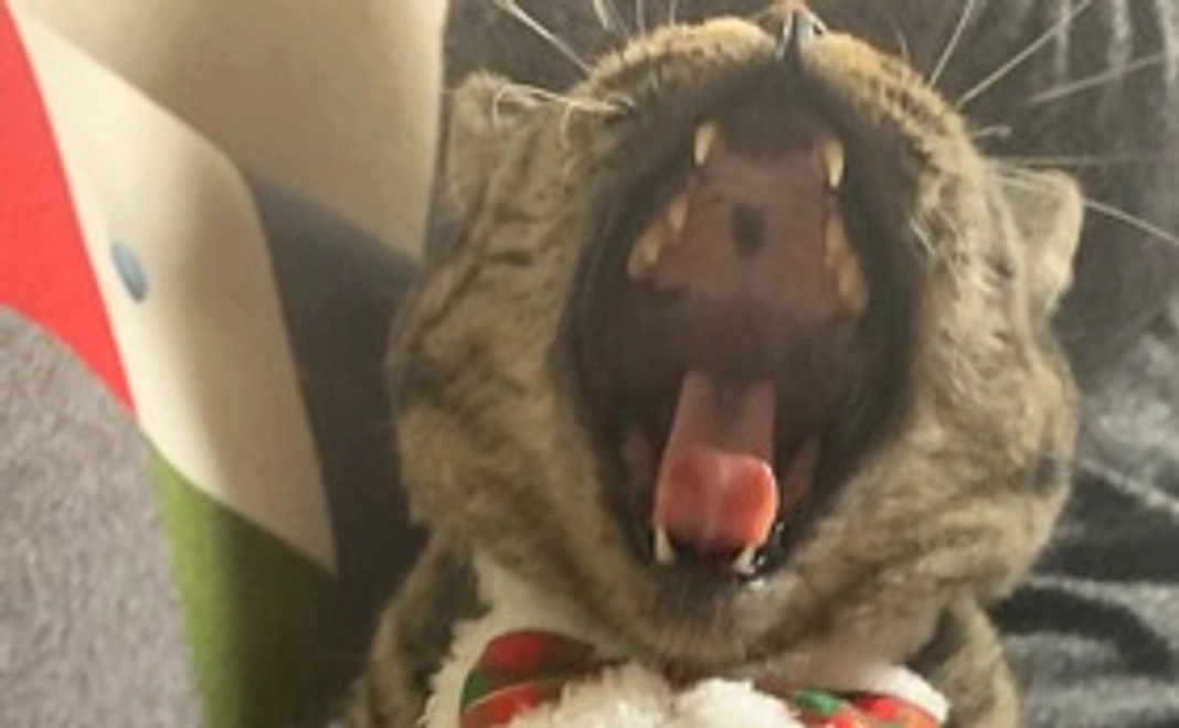 メッセージ入り写真