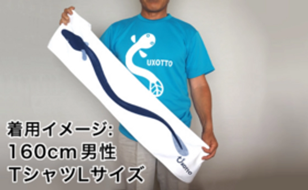 浜名湖体験学習施設ウォットのうなぎTシャツとうなぎタオルのセット