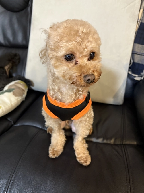 １１月１４日のゆむ君