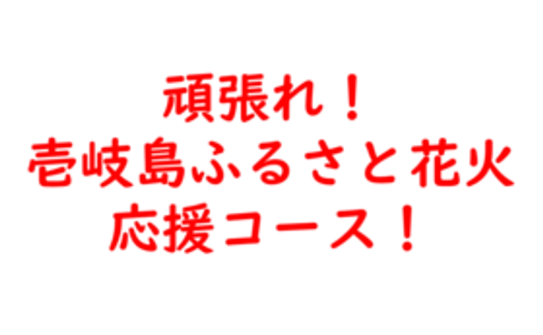 頑張れ!「壱岐島応ふるさと花火」応援コース!