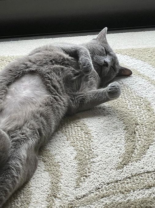 ⭐︎公開3日目⭐︎