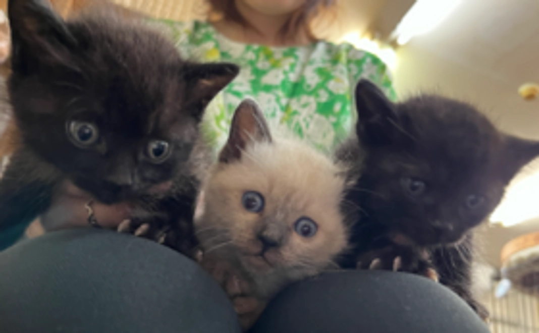 【リターン不要】1万円応援コース