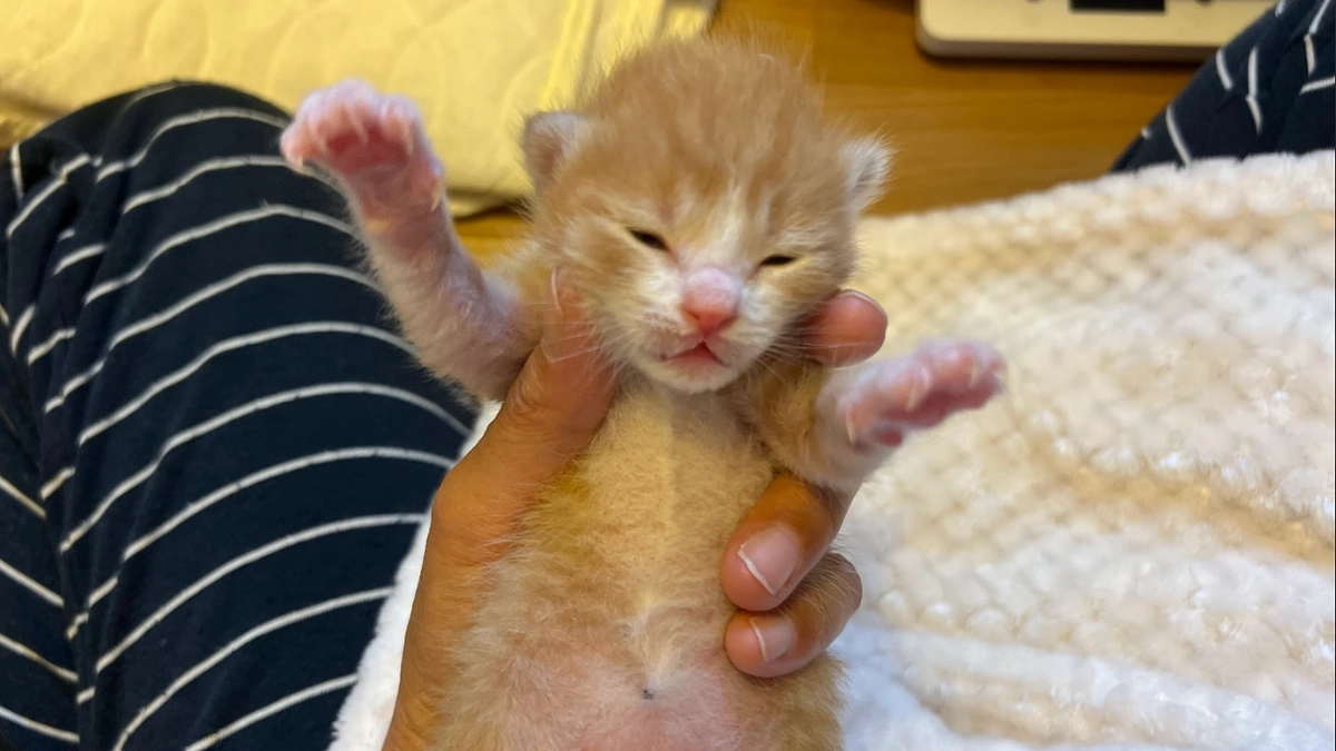 皆様への感謝をむねに、ネクストゴール挑戦します！