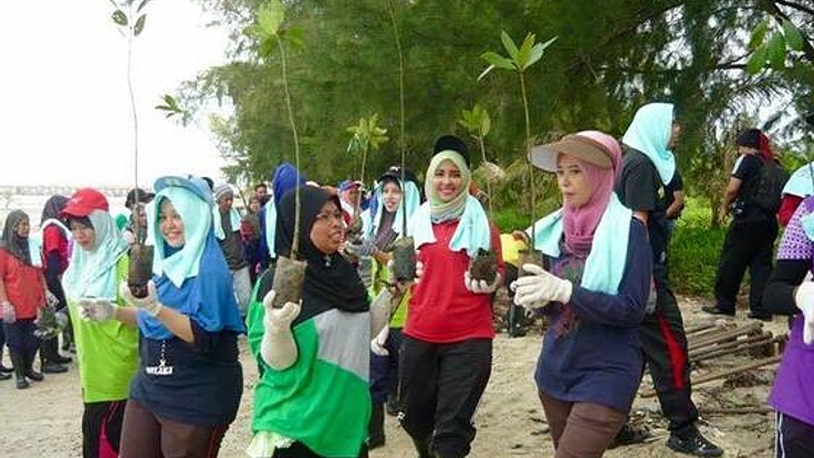 マレーシアのマングローブ林にある遊歩道を早急に修復したい！