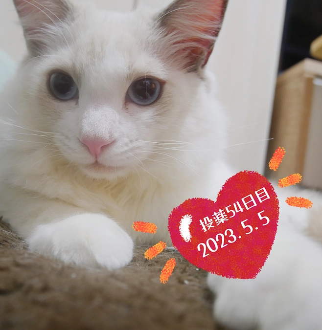 投薬５４日目(2023.5.5)&ご支援のお知らせ