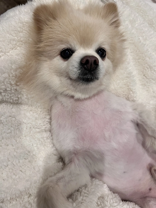 36/59 ☆ ゴロゴロゴロン