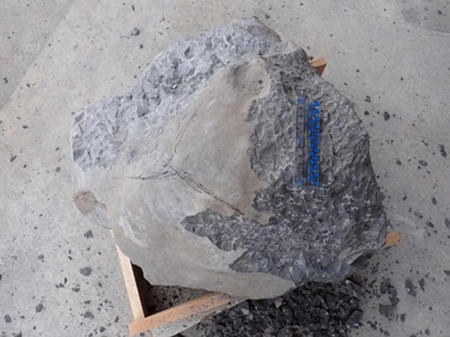 おにぎりクジラ３