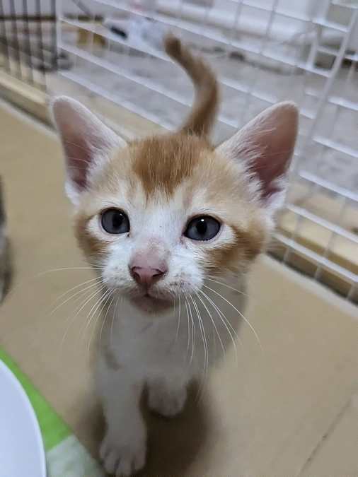 すくすく成長中です！②