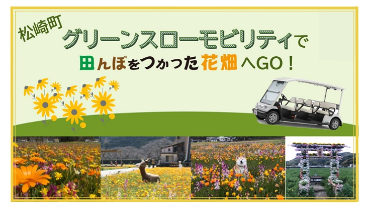 松崎町 グリーンスローモビリティで 田んぼをつかった花畑へＧＯ！