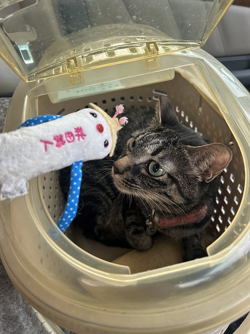 速報。手術終了！