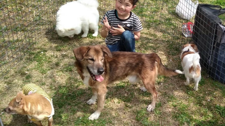 殺処分ゼロを目標に！動物達がのびのびと暮らせる居場所づくり！