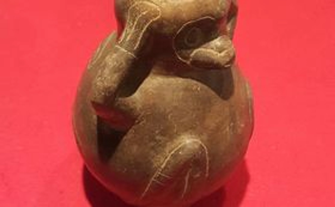 動物象形作品里親権付与（所有権付与ではございません）