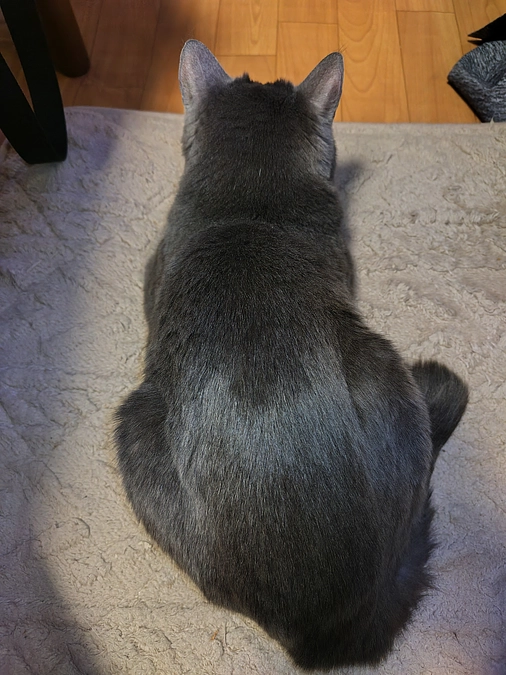 ご支援お願いします🙇