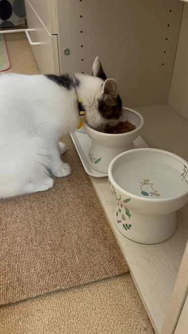 人間の言葉理解してます（笑）