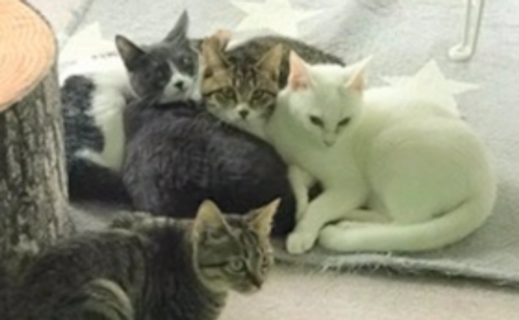 【皆さんの力の結集が大きな力になります！】