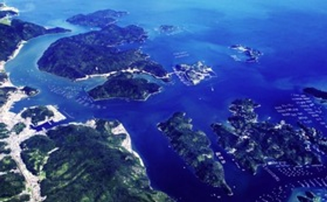 【リターン不要】純粋応援コース｜1万円