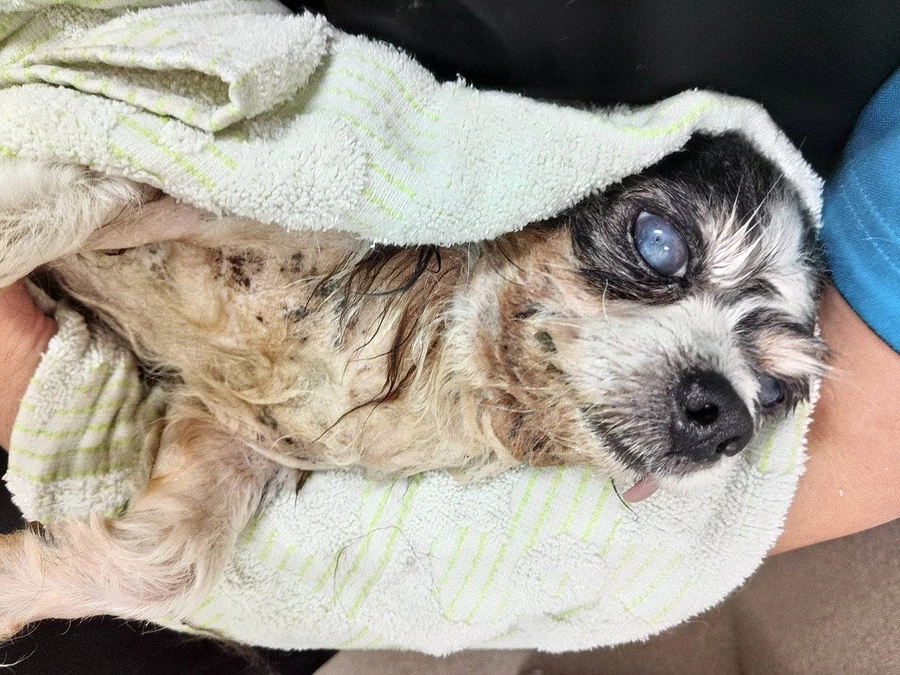 おはようございます☺️