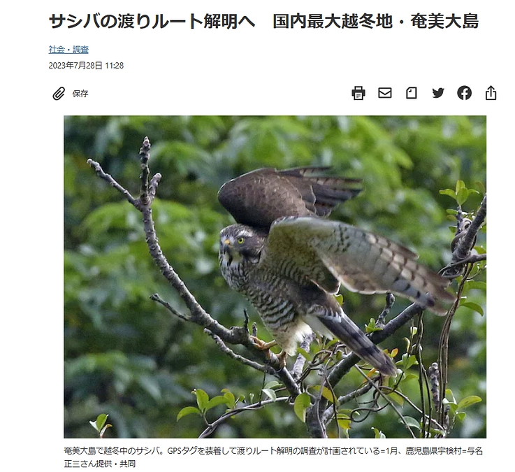 新聞記事のご紹介　日本経済新聞