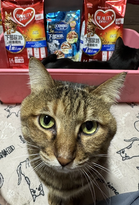 ネクストゴール達成と今後の事について。 頂いた物資の紹介2