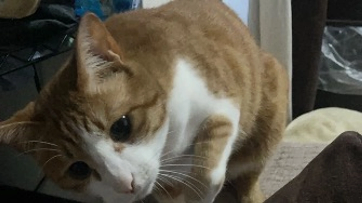 インスタのアカウントを作成しました。