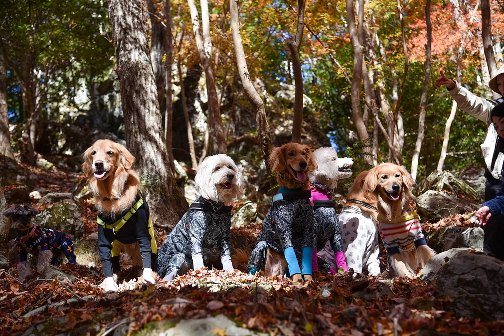 【100万円を超えました！】