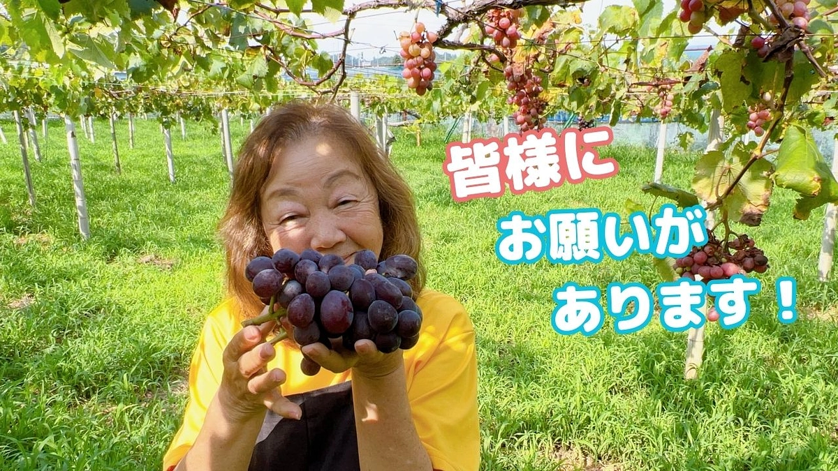 【開始から2週間】沢山の応援ありがとうございます！そしてお願いがあります！＜動画メッセージ＞