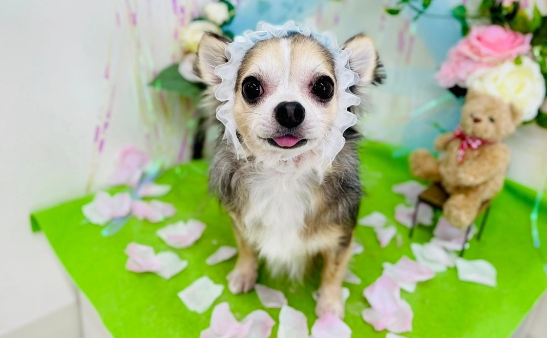 感謝のメール&活動報告　￥1000