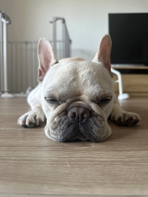 おはようございます！