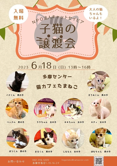 チャリティー写真展「イヌネコLovers vol.6」及び猫譲渡会