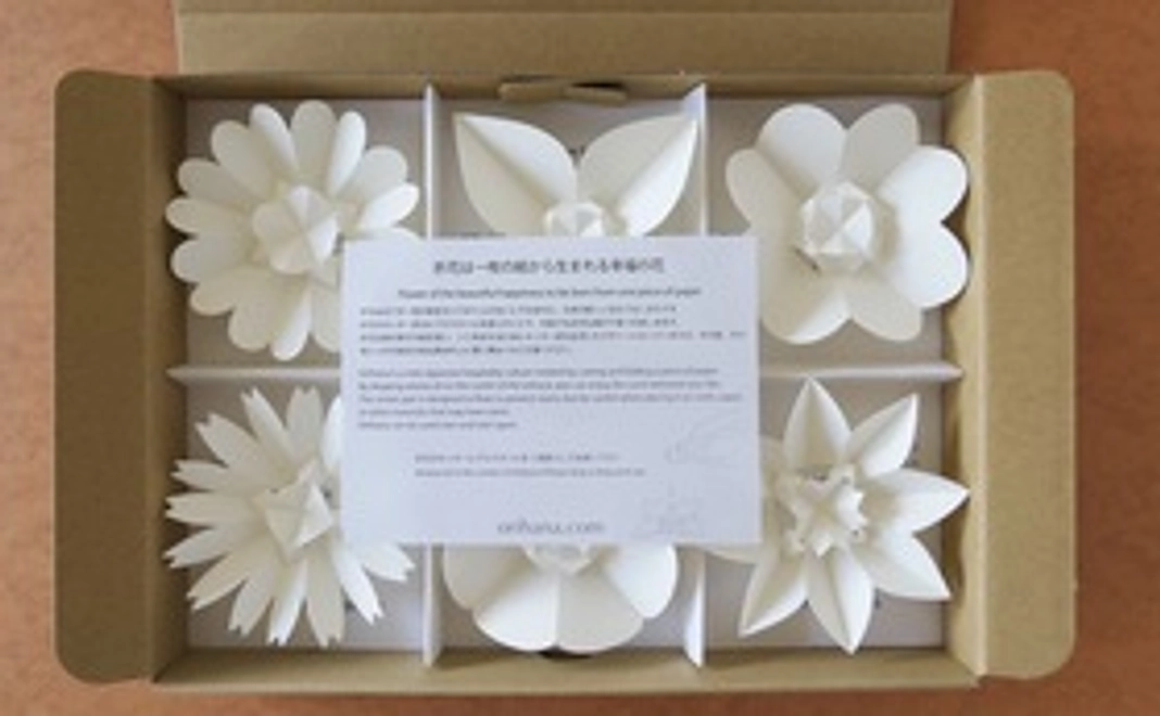 折花基本6種B5セット