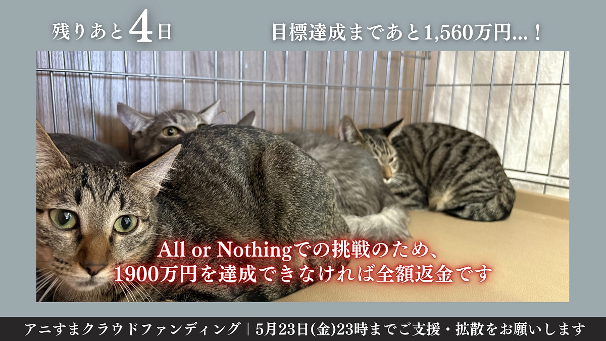 【残り4日】第二の拠点開設へ、情報の拡散をお願いします！