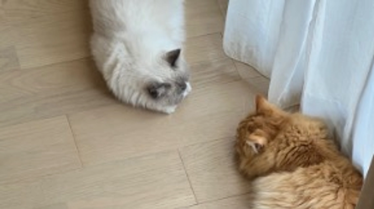 投薬から1週間が経過しました