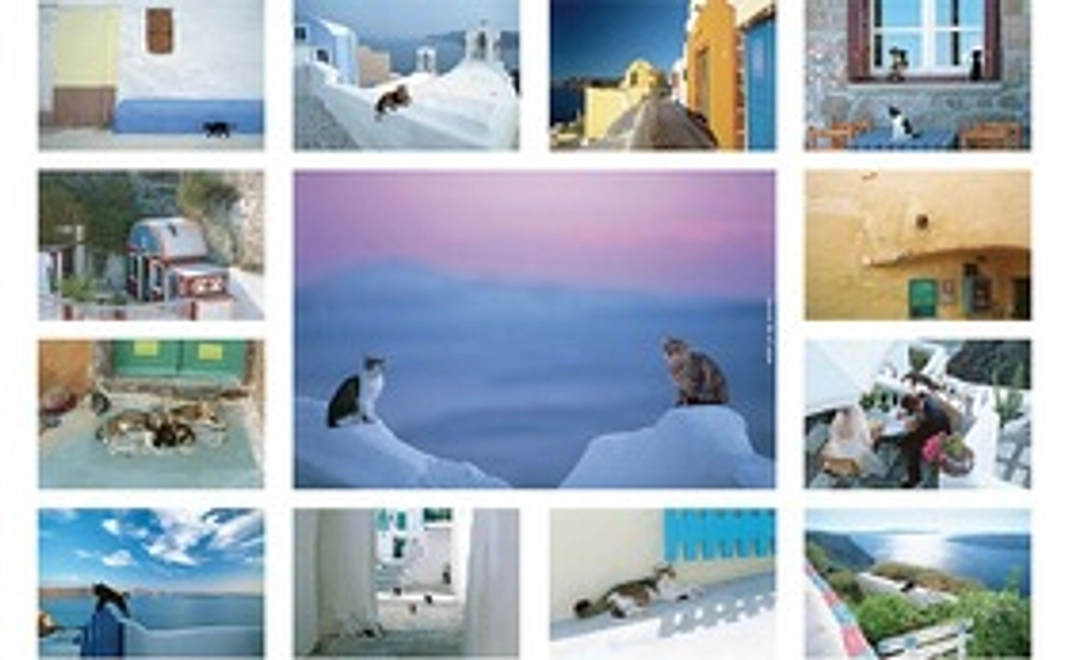 私のオリジナルポストカード（1）13枚　『Aegean Cat』エーゲ海の猫たちです。