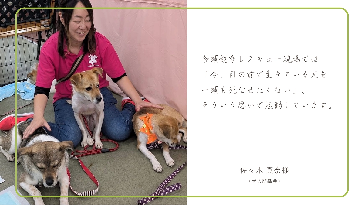 佐々木真奈様（犬のM基金）から応援メッセージをいただきました！