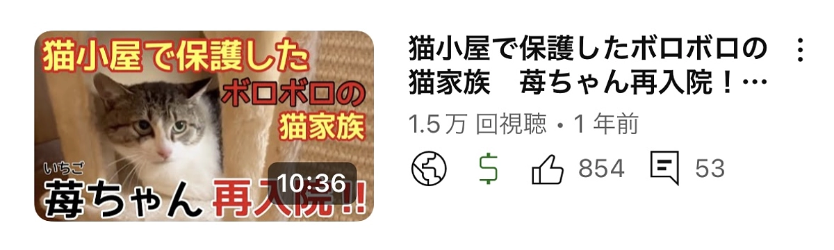 苺（いちご）ちゃん再入院しました