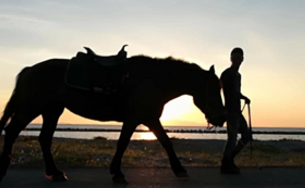 【シェアホースの活動を全力で応援！サポーターコース】