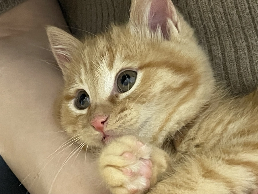 スタートダッシュが大切な時期