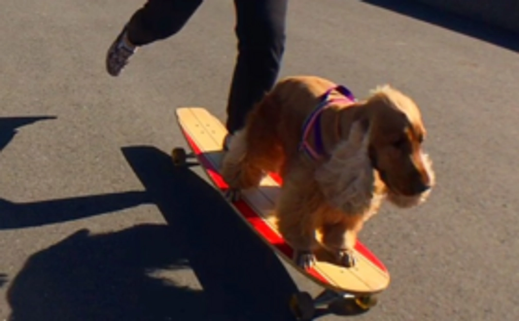 【応援コース】トレーニングスクール開業へ向けて！
