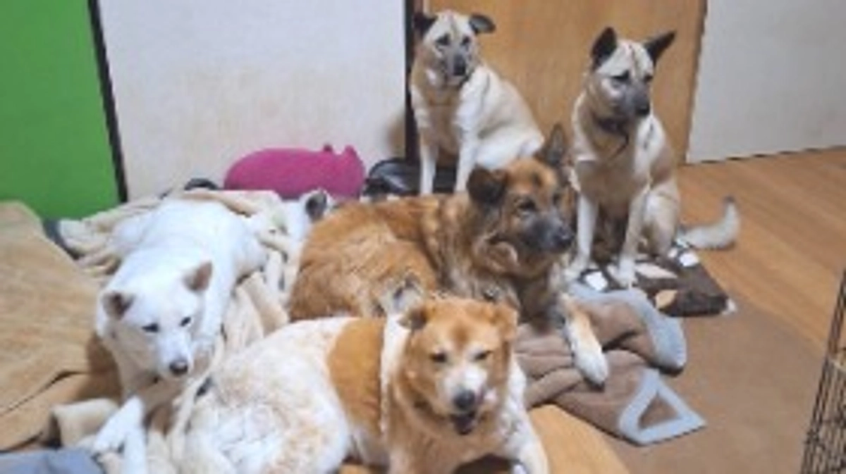 【残り12時間】ご支援者様120人到達