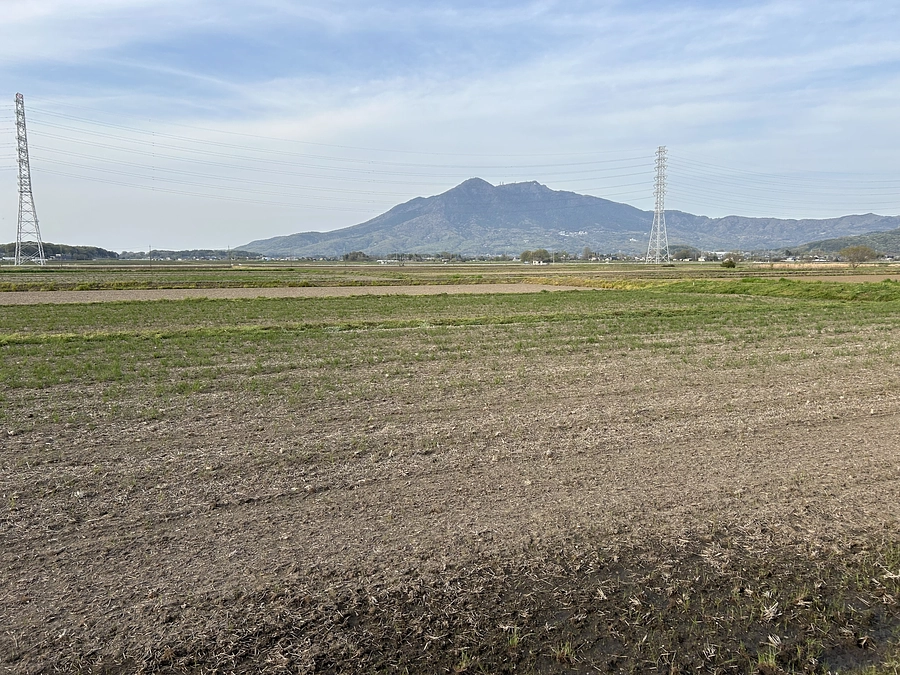 二十四節気　晴明(せいめい)、七十二候　虹始見(にじはじめてあらわる)