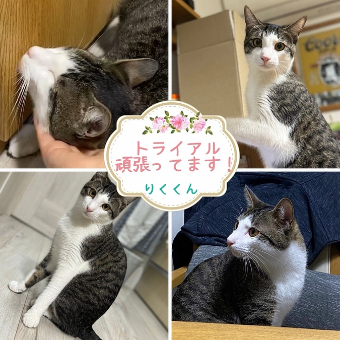 あたたかく見守られながら、トライアル頑張り中のリクくん