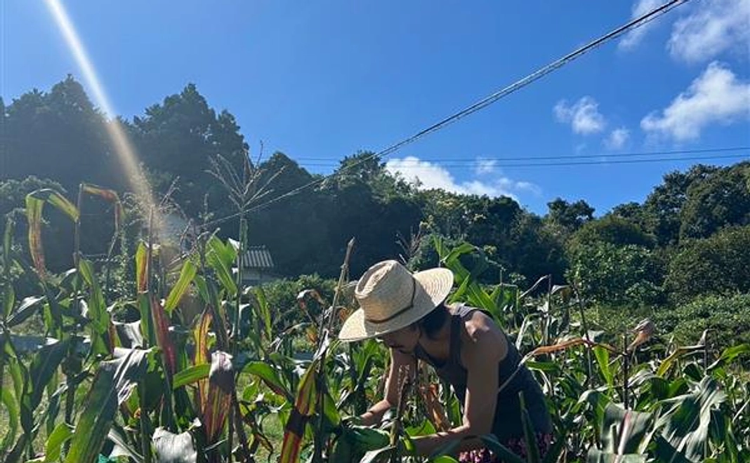 ADACHI FARM の農業収穫体験と料理