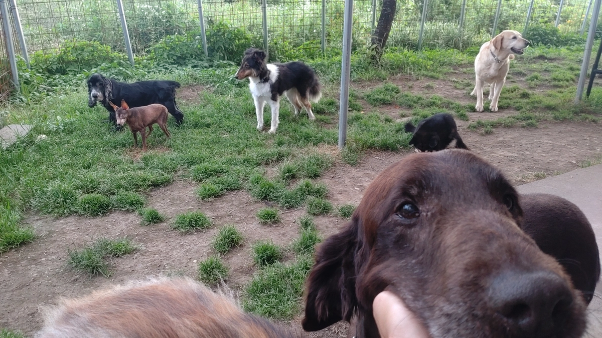 テレビで石松家が特集されました