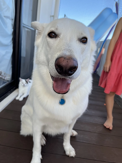 本日最後のインスタLIVEをいたします。