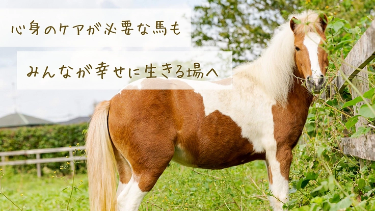 馬のための場所を守りたい。心身のケアが必要な馬達にも幸せな生涯を