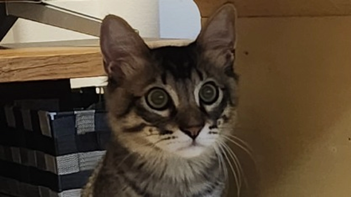 投薬終了後の検査いきました（11/25）